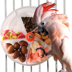 Rotating Parrot Foraging Toy – Wheel-Shaped