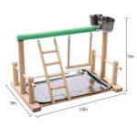 entertaining parrot toy station