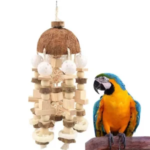 Coconut Shell Parrot Chewing Toy