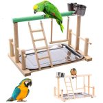 activity playset for parrots