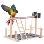 parrot activity center with toys