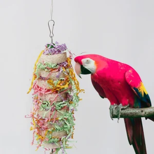 Funny Parrot Chew Toy
