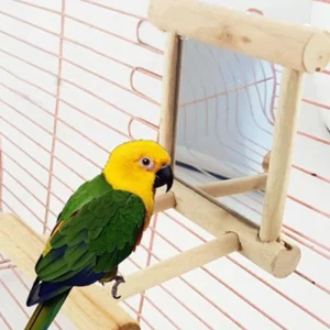 Parrot Mirror Toy with Perch Stand