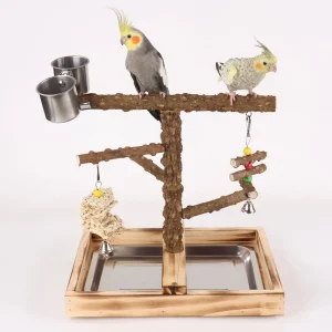 Wooden Bird Swing Toy - Perch