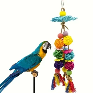 Parrot Swing Chewing Toy - Cage Accessory
