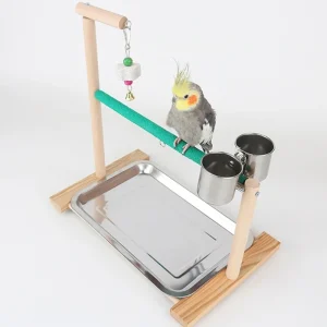 Wooden Parrot Swing stand