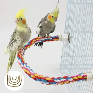 Colorful Parrot Rope Ladder Swing