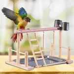 interactive bird toy center for parrots