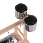 activities for parrots in the toy center