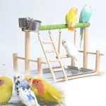colorful activity center for pet parrots