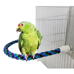 Flexible Parrot Rope Perch Toy