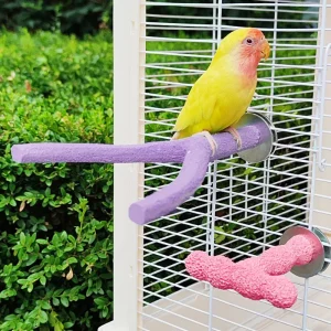 Resin Parrot Perch Y/T Shaped - Chew Toy