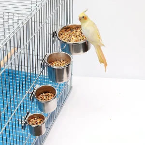 Stainless Steel Parrot Feeding cup with Clamp