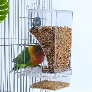 Parrot Feeder Anti-Spill Food Box