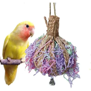 Anti-Biting Parrot Chewing Cage Toy