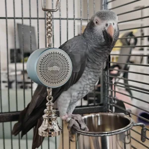 Interactive Talking Parrot Toy -Voice Recording