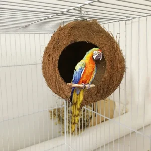 Natural Coconut Shell Parrot Hideaway