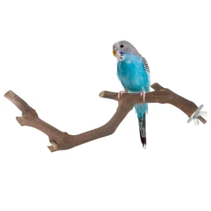 5PCS Parrot Perch Branch Trees