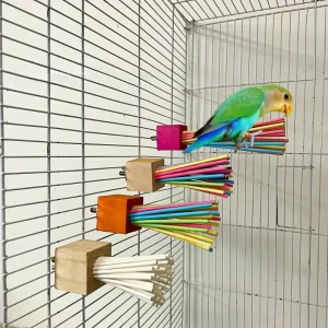 Rainbow Paper Stick Parrot Swing Perch